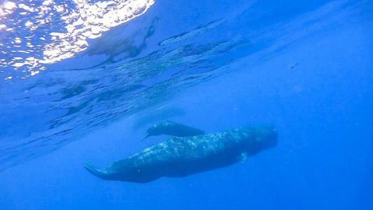 我不是幸运，我只是敢争取自己应得的